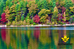 Autumn-Buzzworthy, LLC