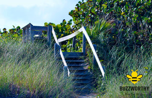 Beach Stairs-Buzzworthy, LLC