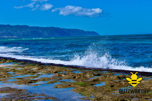 Hawaii Coastline-Buzzworthy, LLC