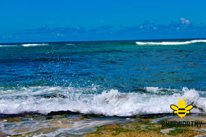 Hawaii Coastline V2-Buzzworthy, LLC