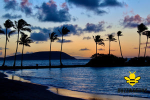 Hawaii Sunrise-Buzzworthy, LLC