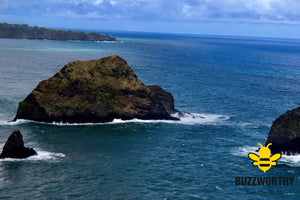 Hawaii V1-Buzzworthy, LLC