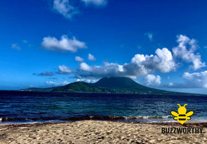 St Kitts V3-Buzzworthy, LLC